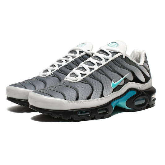 Nike AIR MAX PLUS TN x One Block Down Clear Fog