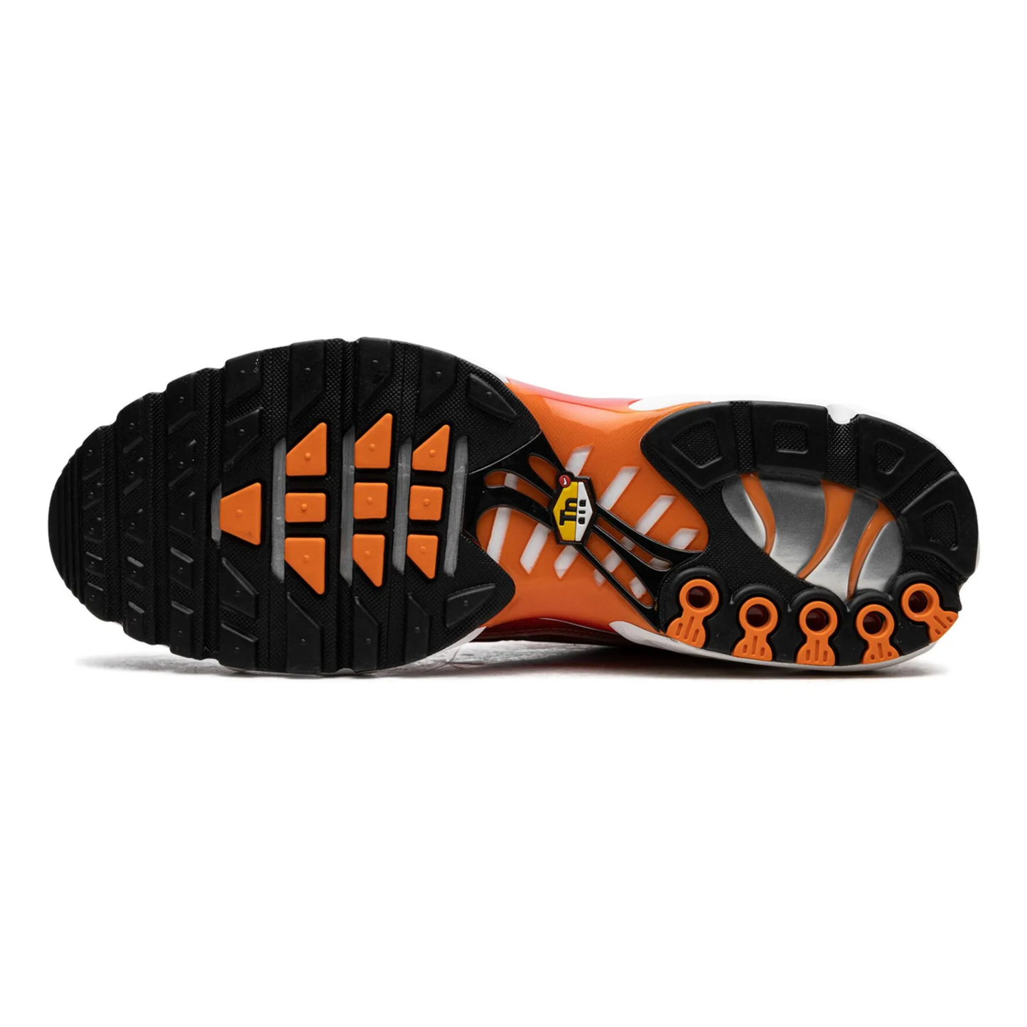 Nike AIR MAX PLUS TN Light Photography