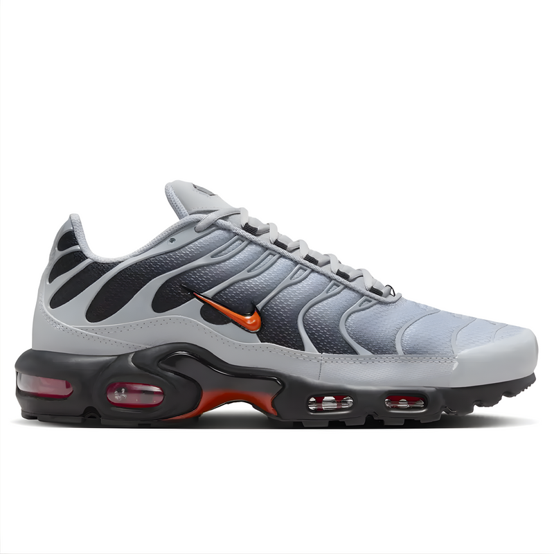 Nike AIR MAX PLUS TN Wolf Grey