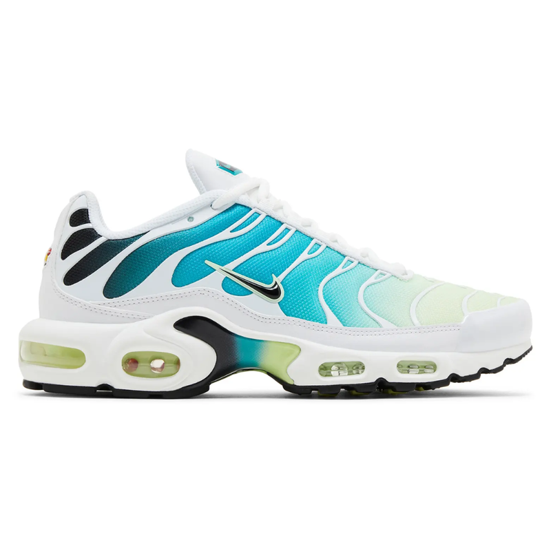 Nike AIR MAX PLUS TN Dusty Cactus