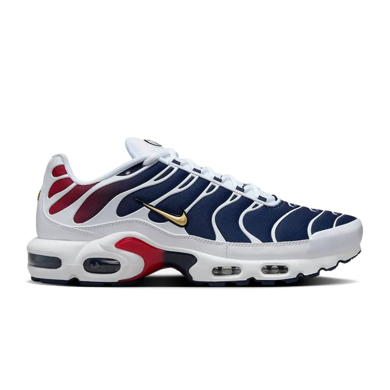 Nike AIR MAX PLUS TN PSG