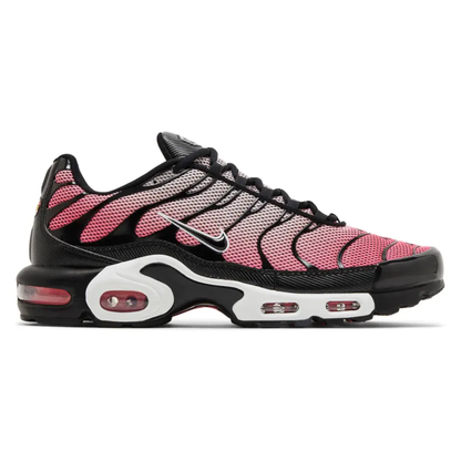 Nike AIR MAX PLUS TN All Day