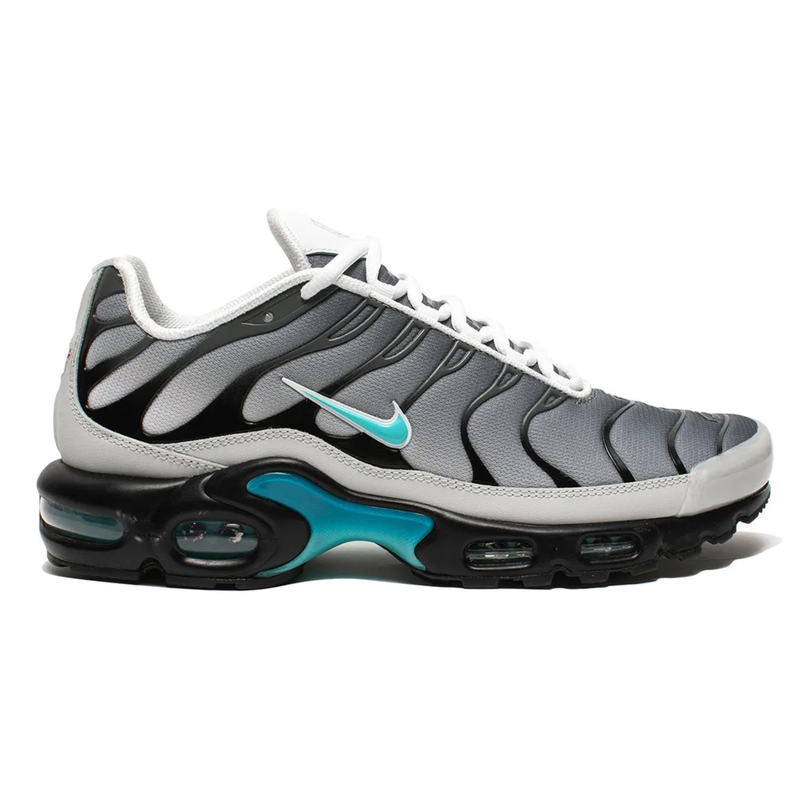Nike AIR MAX PLUS TN x One Block Down Clear Fog