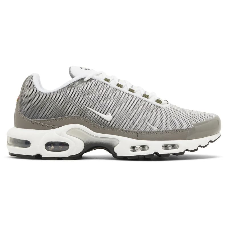Nike AIR MAX PLUS TN Flat Pewter