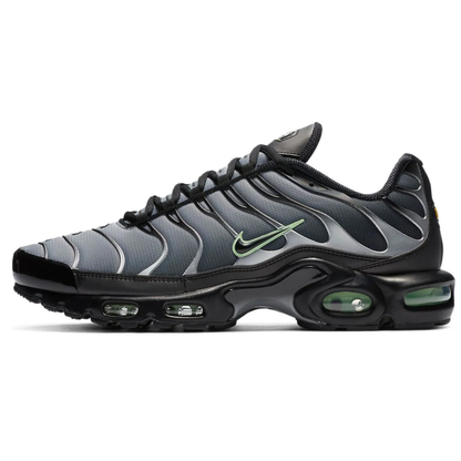 Nike AIR MAX PLUS TN Particle Grey Vapour