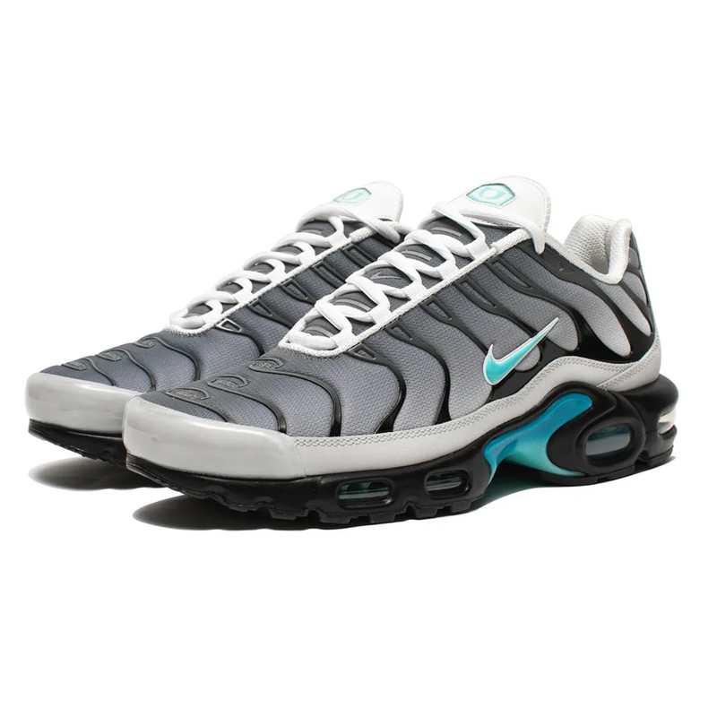 Nike AIR MAX PLUS TN x One Block Down Clear Fog