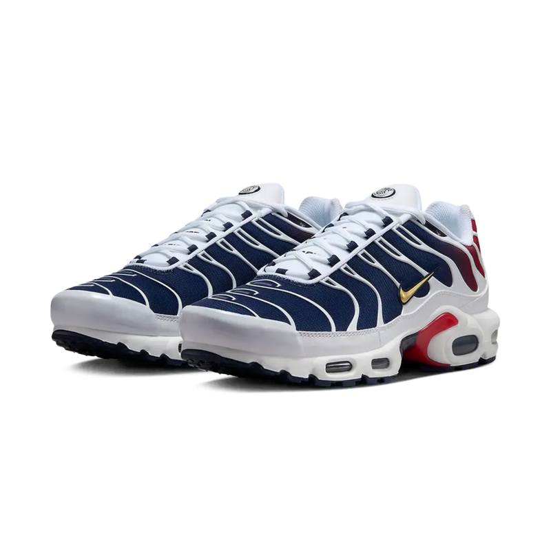 Nike AIR MAX PLUS TN PSG