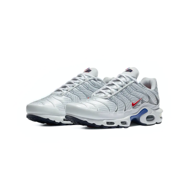 Nike AIR MAX PLUS TN Euro Tour 2020 Particle Grey