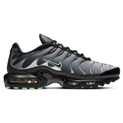 Nike AIR MAX PLUS TN Particle Grey Vapour