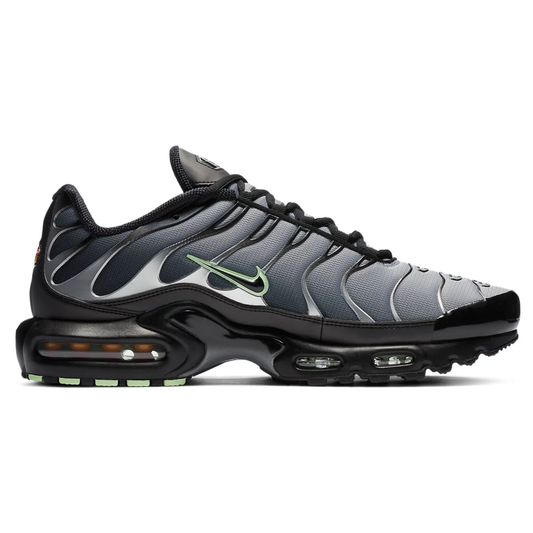 Nike AIR MAX PLUS TN Particle Grey Vapour