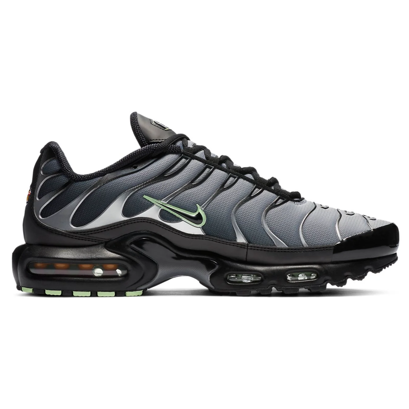Nike AIR MAX PLUS TN Particle Grey Vapour