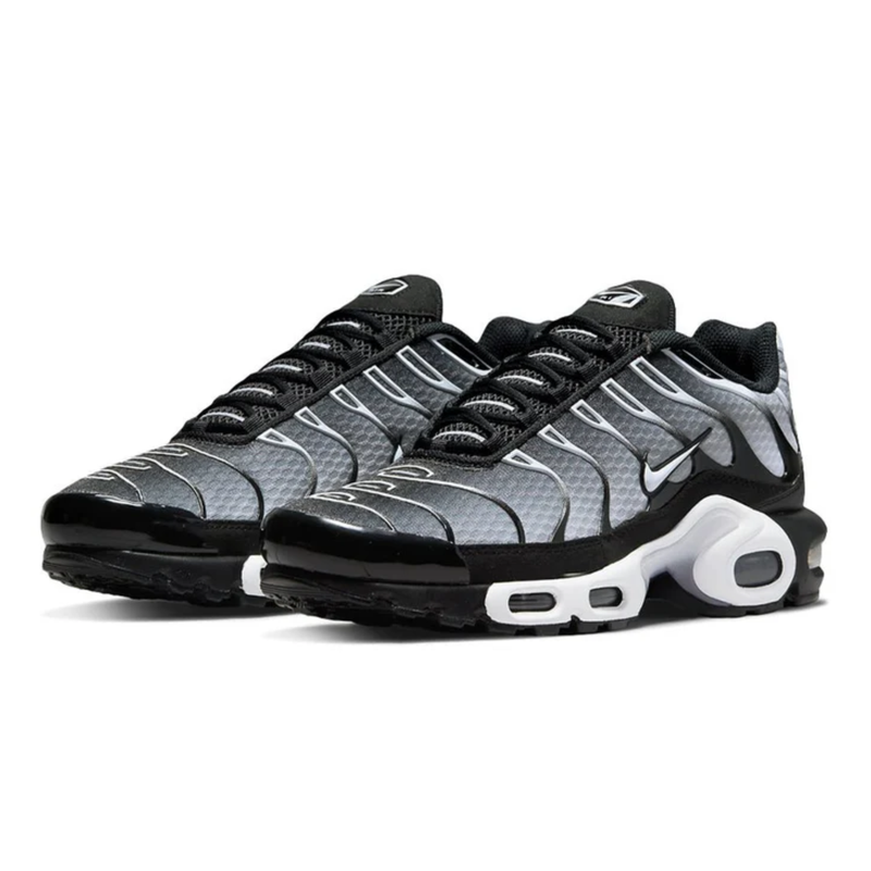 Nike AIR MAX PLUS TN Metallic Silver