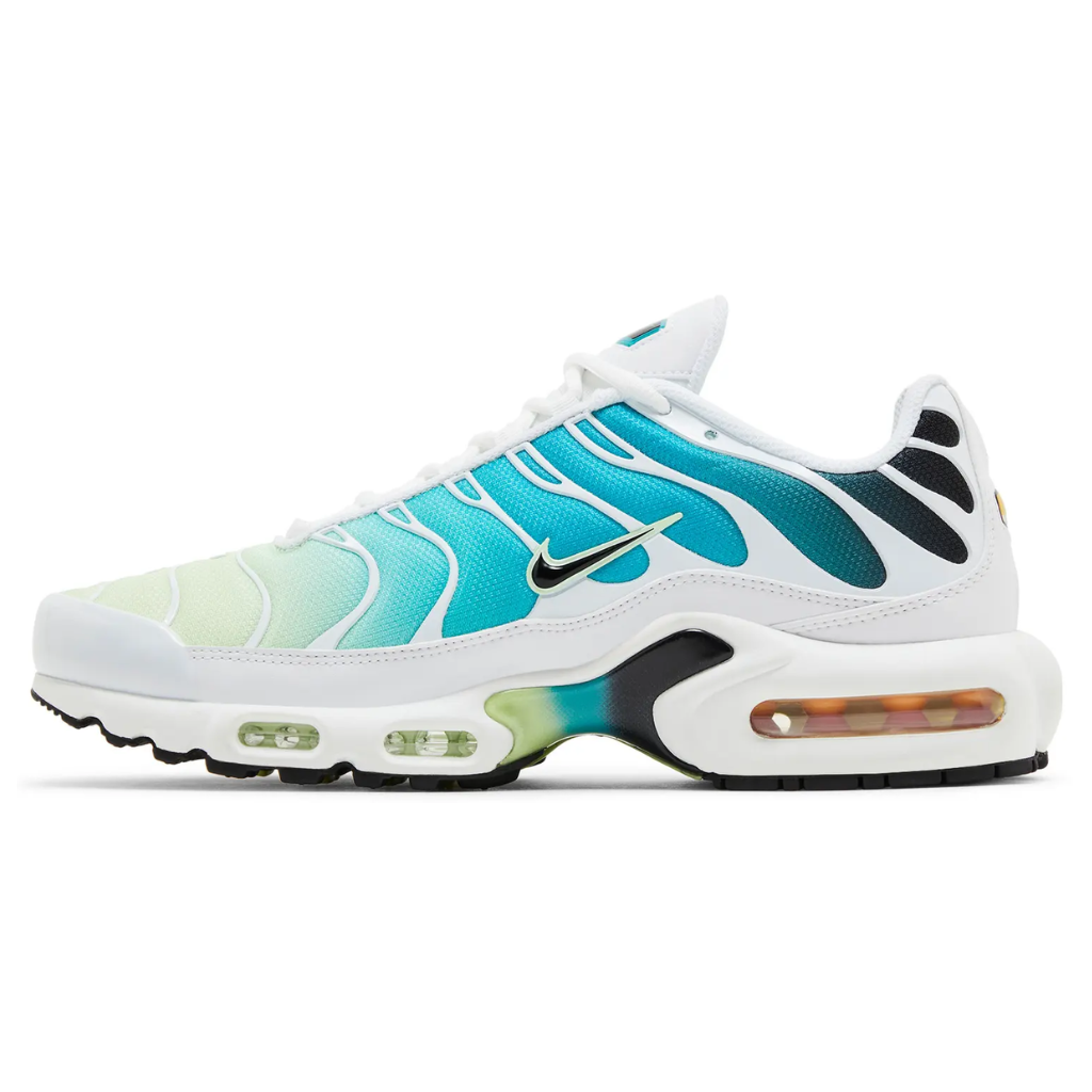Nike AIR MAX PLUS TN Dusty Cactus