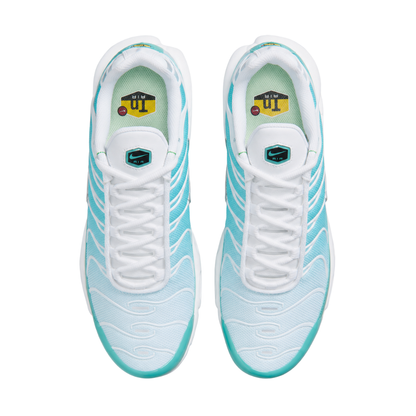 Nike AIR MAX PLUS TN Teal
