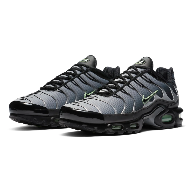 Nike AIR MAX PLUS TN Particle Grey Vapour