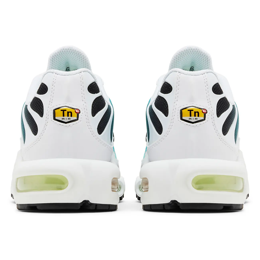 Nike AIR MAX PLUS TN Dusty Cactus