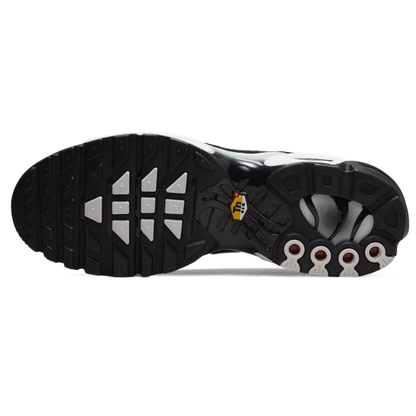 Nike AIR MAX PLUS TN Metallic Silver
