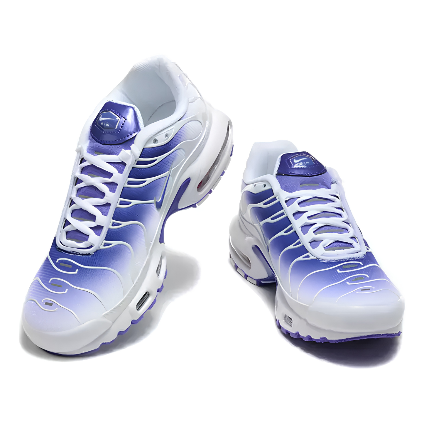 Nike AIR MAX PLUS TN Purple Dragon