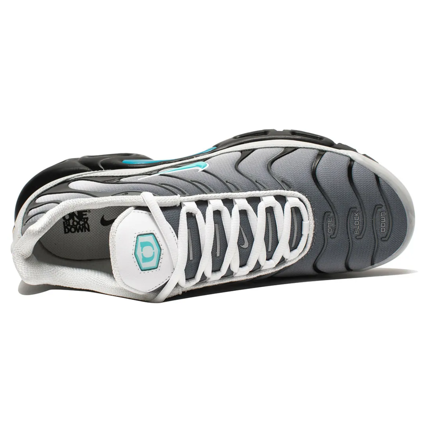 Nike AIR MAX PLUS TN x One Block Down Clear Fog
