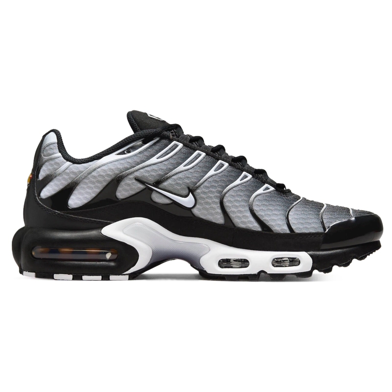Nike AIR MAX PLUS TN Metallic Silver