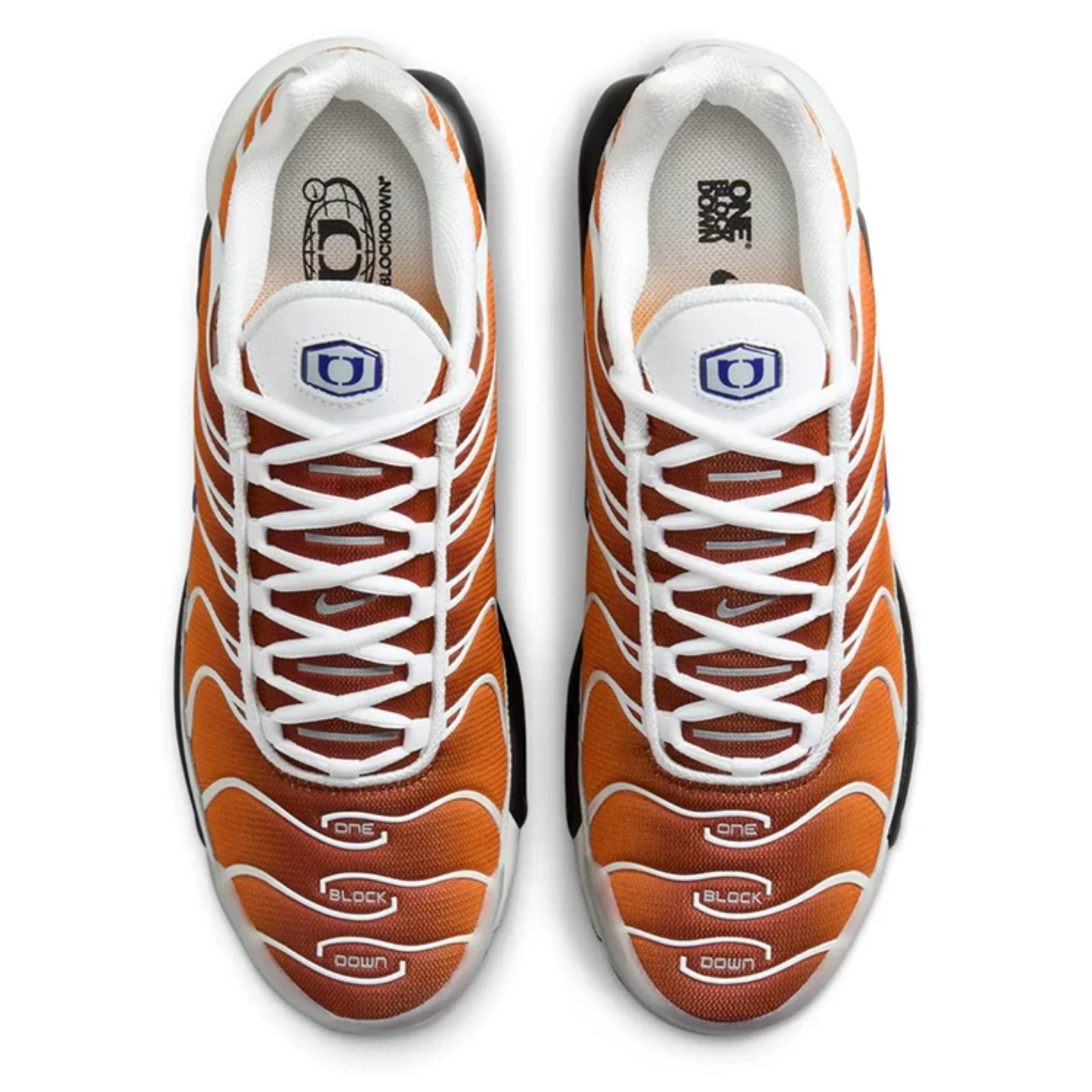 One Block Down x Nike AIR MAX PLUS TN Chutney